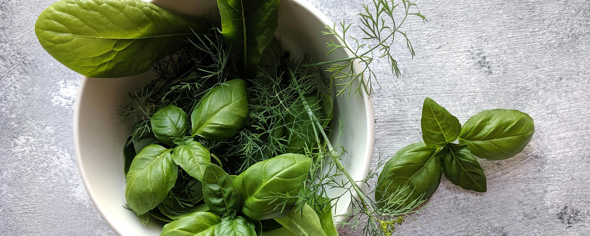 Community Education Classes Growing Culinary Herbs