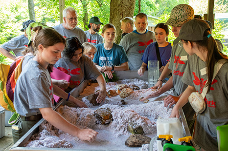 Camps for Kids and Teens