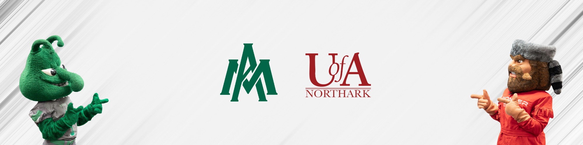 Bachelor's Degrees From UAM 