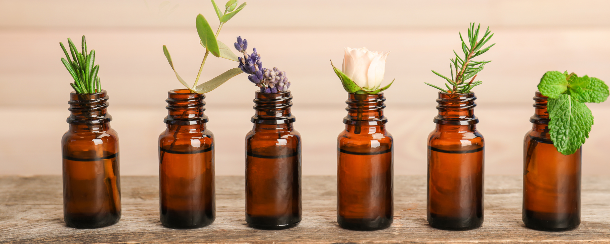 Community Education Classes Essential Oils 101